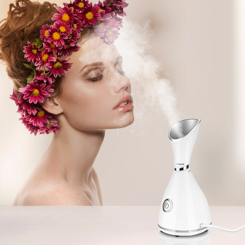 Menopause Glow: Hydrating Facial Steamer for Radiant, Rejuvenated Skin